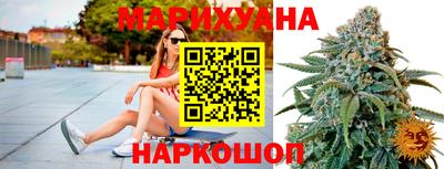 крисы Ставрополь