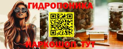 крисы Ставрополь