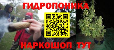 крисы Ставрополь