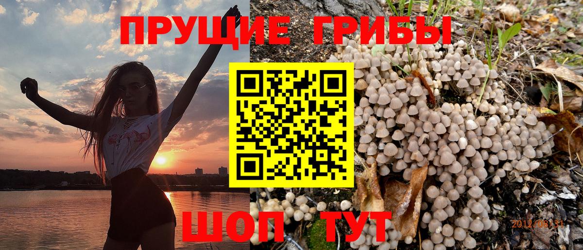 Галлюциногенные грибы Psilocybe  Галлюциногенные грибы Cubensis  как найти закладки  Вход с VPN  Новочебоксарск 