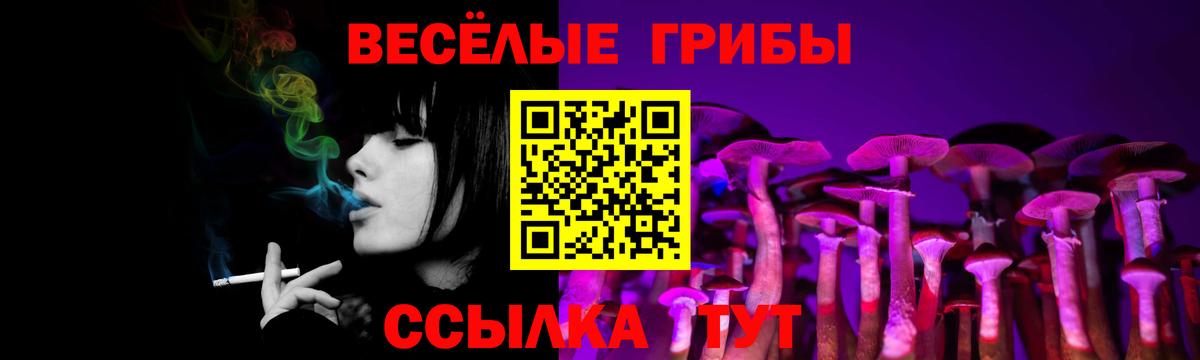 Псилоцибиновые грибы Psilocybe Новочебоксарск